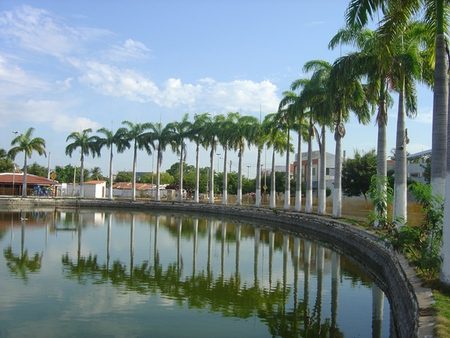 Vista de lagoa rodeada por palmeiras em Iguatu. conheca-o-ceará-principais-cidades-iguatu
