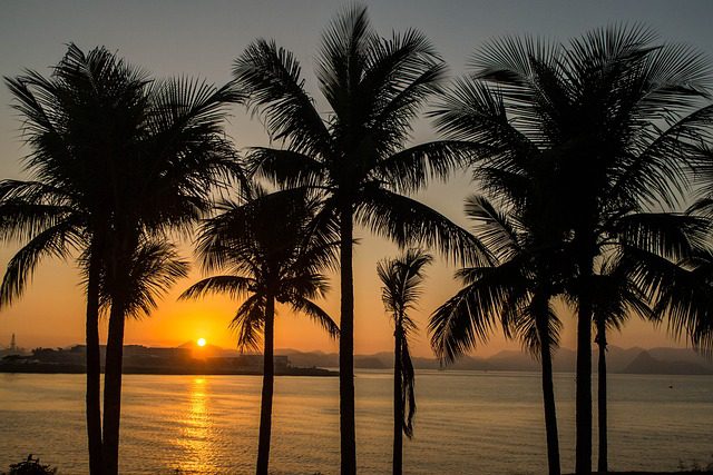 O por-do-sol na praia por detrás de um coqueiral no estado do Ceará, a Terra da Luz.